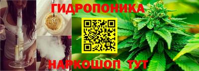 сатива Севастополь
