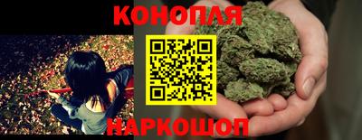 хмурый Сланцы