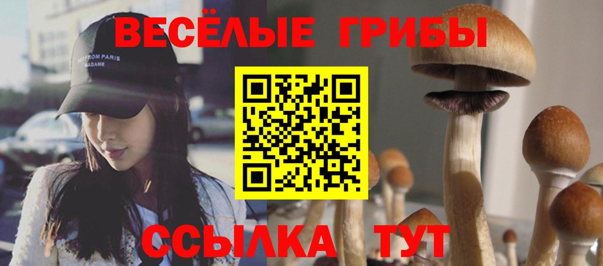 Псилоцибиновые грибы Psilocybe Нефтекумск